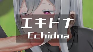 Echidna v3EX [Ginhaha]
